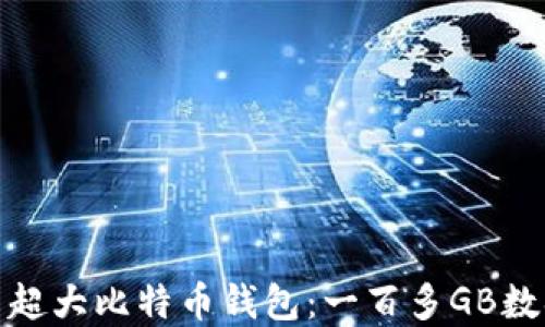 
如何高效管理和使用超大比特币钱包：一百多GB数据的处理与使用攻略
